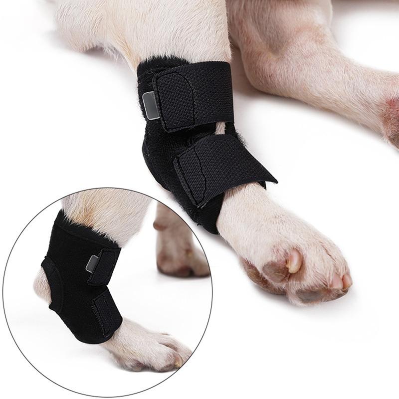 Dog Apparel Pet Knee Pads Support Brace For Leg Hock Joint Wrap Breathable Injury Recover Legs Protector
Dog Apparel Pet Knee Pads Support Brace For Leg Hock Joint Wrap Breathable Injury Recover Legs Protector
