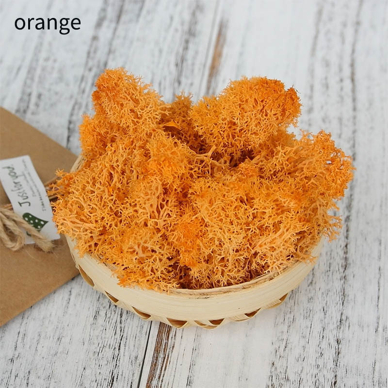Eternal Life Moss Multicolor Living moss 10g DIY Flower Material Garden Home Decoration Gift Box Supplies Wedding Party Decor
