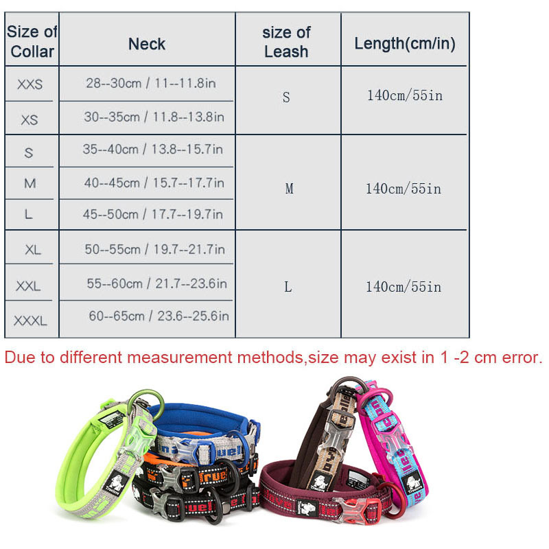 Truelove Best Nylon Pet Dog Collars And Leashes Reflective Embroidery For Small Large Dogs Popular Unique Male Female Puppy