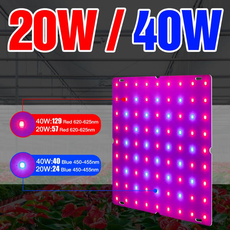 Plant Growing Lamp Full Spectrum Hydroponics Lighting Grow Light Bulb Flower Seedling Fitolamp 20W 40W Phyto Lights
Plant Growing Lamp Full Spectrum Hydroponics Lighting Grow Light Bulb Flower Seedling Fitolamp 20W 40W Phyto Lights