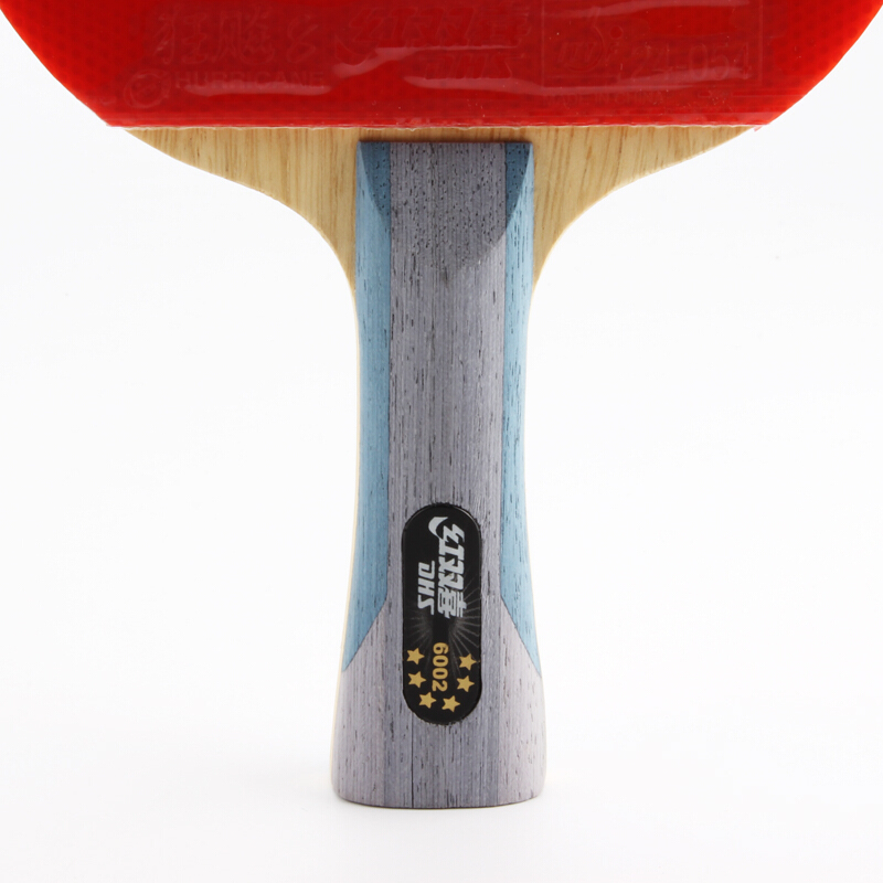 DHS 6002 Table Tennis racket with ITTP Approved pimples in table tennis rubber FL handle DHS ping pong paddle 201209