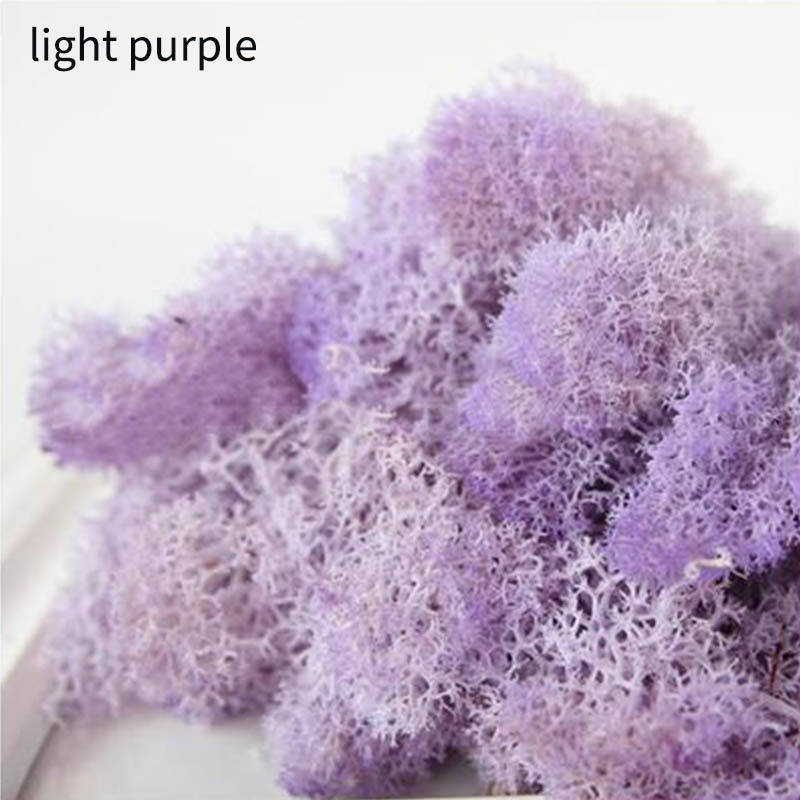 Eternal Life Moss Multicolor Living moss 10g DIY Flower Material Garden Home Decoration Gift Box Supplies Wedding Party Decor