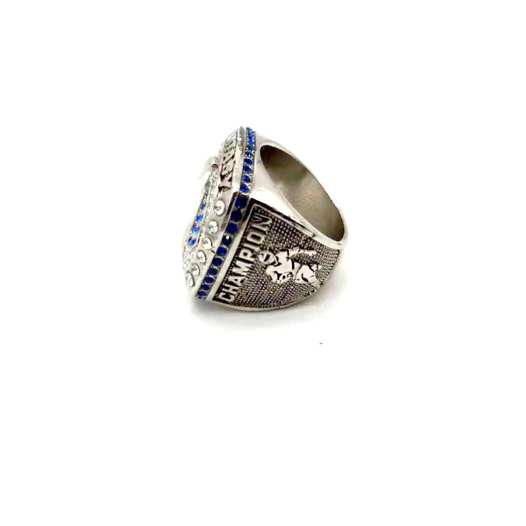 Fantasy Football World Championship Ring Men's Stainless Steel Ring Fashion Jewelry Customization 210924