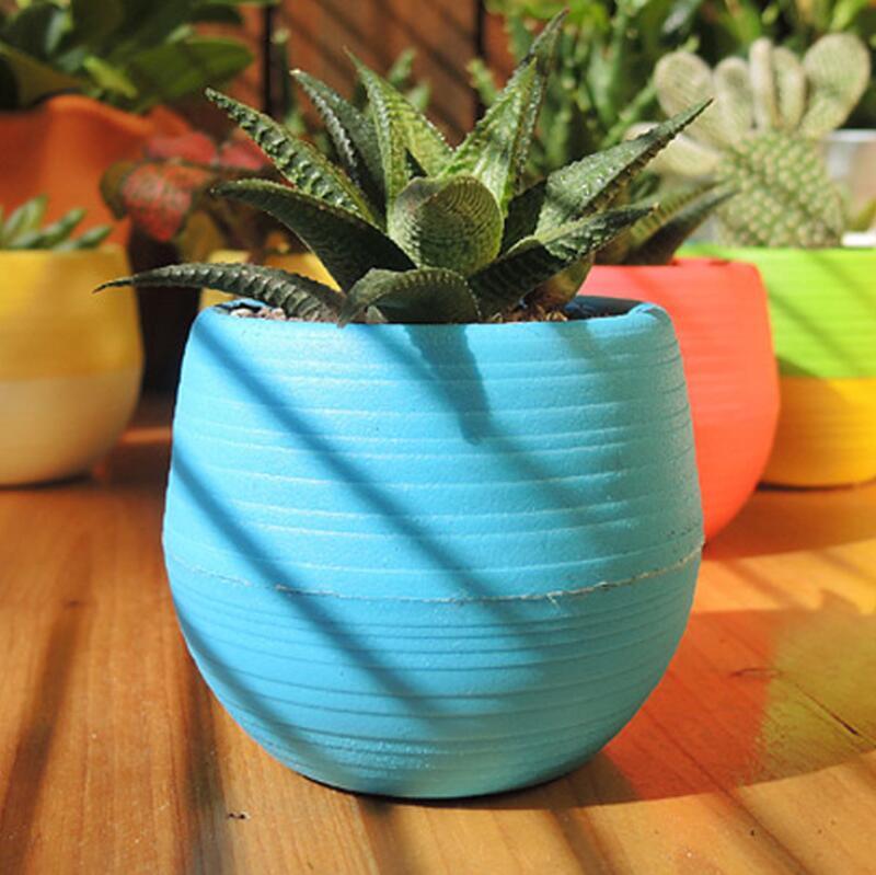 Colorful Mini Round Plastic Plant Flower Pots Planters Garden Home Office Decor Planter Desktop Pot Multi color options sea ship ZZE5636
Colorful Mini Round Plastic Plant Flower Pots Planters Garden Home Office Decor Planter Desktop Pot Multi color options sea ship ZZE5636