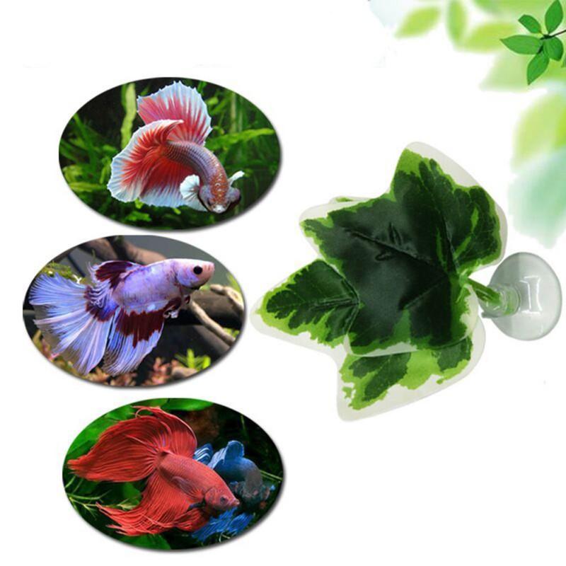 Decorations Sorrow Flows Backwards Into A River Of Speechless People Awaken Fish Spawning REST Simulation Leaf White Green Five-Angle Stars
Decorations Sorrow Flows Backwards Into A River Of Speechless People Awaken Fish Spawning REST Simulation Leaf White Green Five-Angle Stars