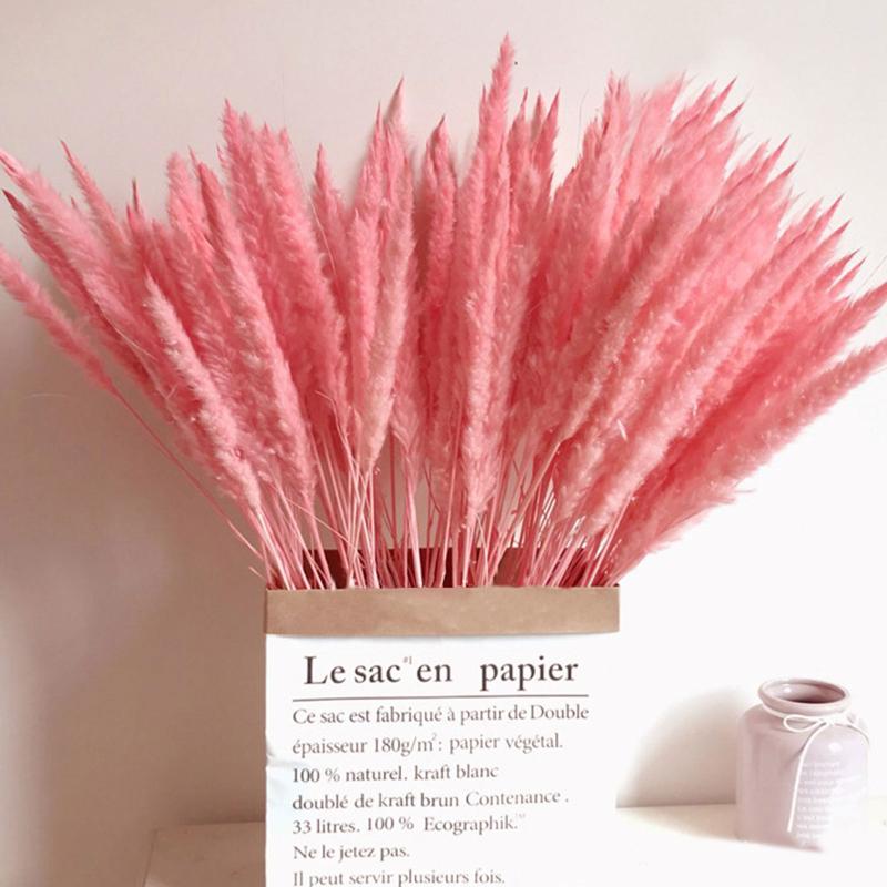 Vases 15Pcs Dried Reed Flower Arrangement Natural Pampas Grass Phragmites Plants Bouquet For Home Decoration Wedding Party