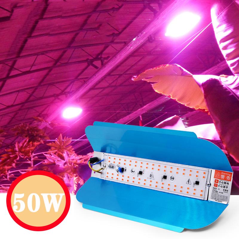Plant Growth Tent Full Spectrum Uv Phyto Lamp LED Light Strip Simple Therapy Floodlight 220V For Greenhouse Grow Lights
Plant Growth Tent Full Spectrum Uv Phyto Lamp LED Light Strip Simple Therapy Floodlight 220V For Greenhouse Grow Lights
