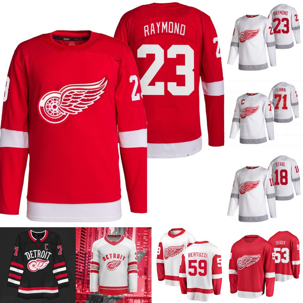 Lucas Raymond Detroit Red Wings 2021-22 Jersey Dylan Larkin Moritz Seider Tyler Bertuzzi Danny DeKeyser Marc Staal Sam Gagner Robby Fabbri A, Blue;black
Lucas Raymond Detroit Red Wings 2021-22 Jersey Dylan Larkin Moritz Seider Tyler Bertuzzi Danny DeKeyser Marc Staal Sam Gagner Robby Fabbri A, Blue;black