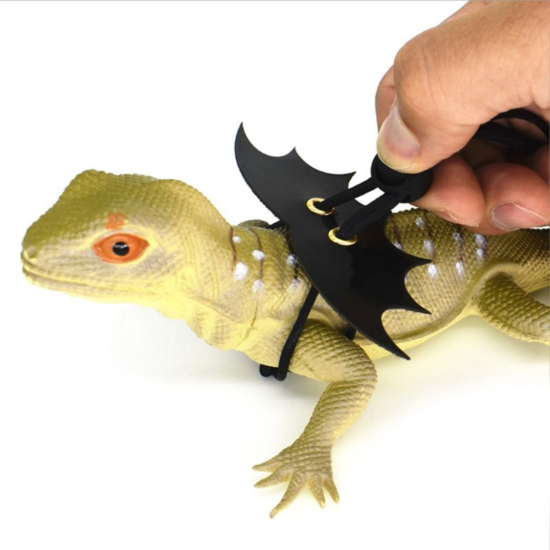 Pet Lguana Adjustable Wing Style Little Hagedis Reptile Harnas Climbing Touw Belt Draak Harnas Leash