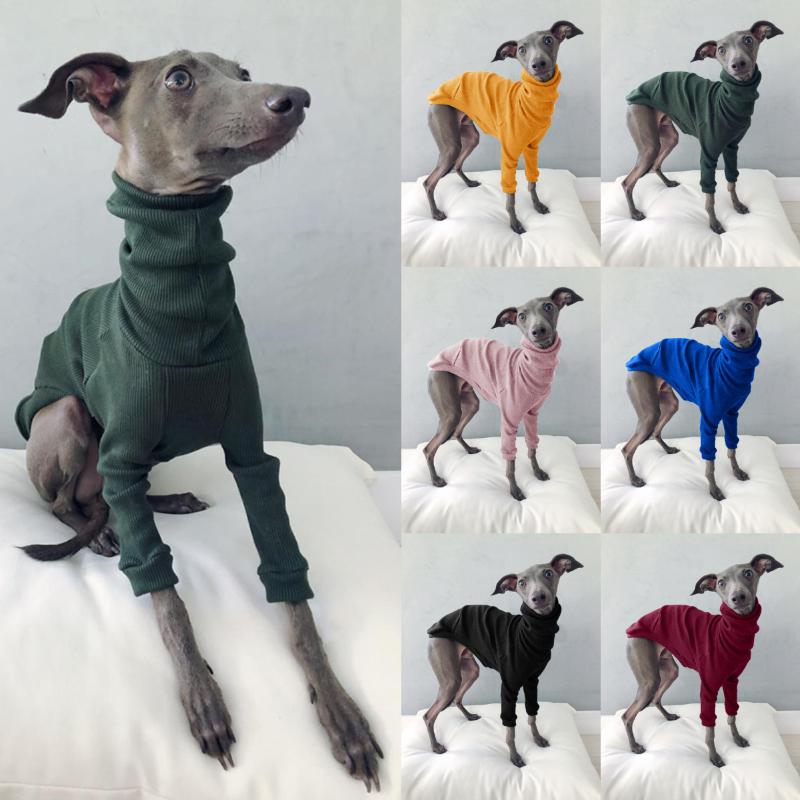 Spring Solid Color High Neck Thread Two-legged Greyhound Simple Stretch Dog Clothes Small And Medium Four Seasons Apparel, Blue
Spring Solid Color High Neck Thread Two-legged Greyhound Simple Stretch Dog Clothes Small And Medium Four Seasons Apparel, Blue