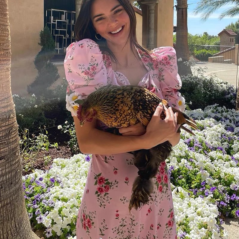 celebrity Kendall pink floral printed v-neck midi dress ruched puff sleeve sweet cute young lady party chic dresses 2xl 210421