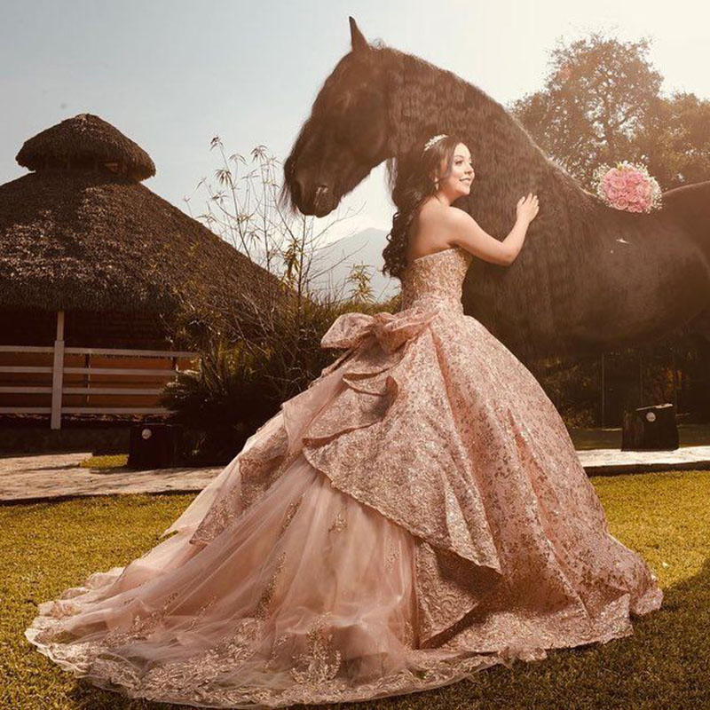 Pink Vestidos De 15 Años Crystal Beading Princessa Quinceanera Dresses Sweet 16 Party Gowns for Girl Prom Wear, Coral
Pink Vestidos De 15 Años Crystal Beading Princessa Quinceanera Dresses Sweet 16 Party Gowns for Girl Prom Wear, Coral