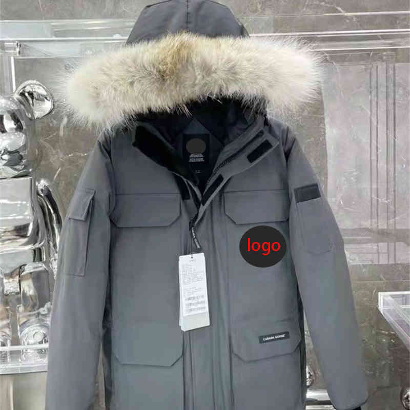 232021 Ca Na Da Wol… - image