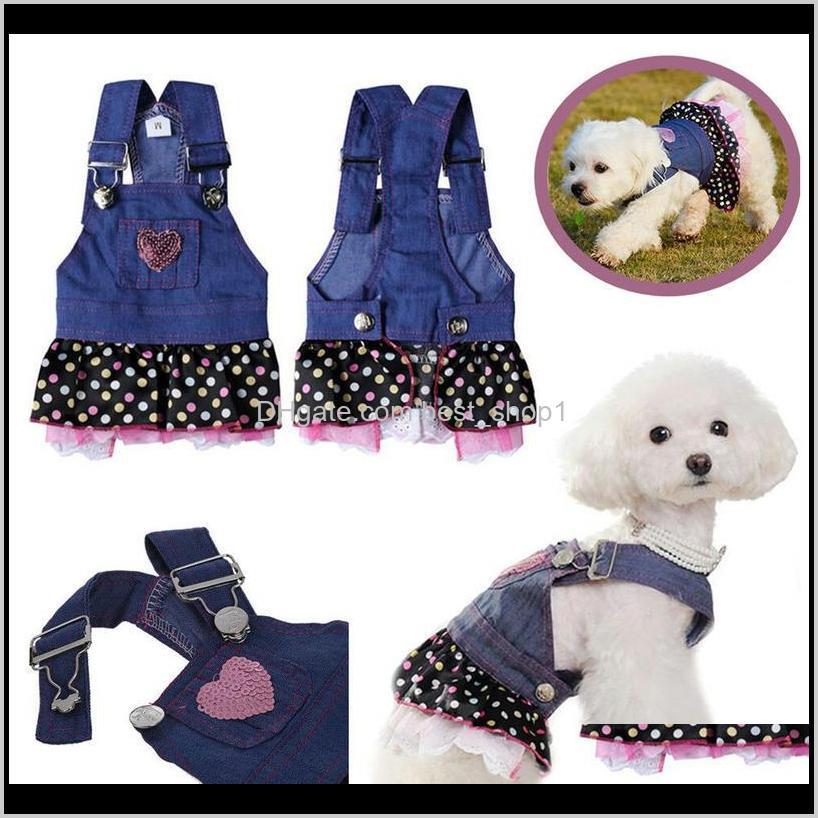 Pet Home Garden Drop Delivery 2021 Lovely Casual Sweet Cute Canine Denim Jean Dress Clothes Heart Print Pets Puppy Skirt Apparel Clothing Dog
Pet Home Garden Drop Delivery 2021 Lovely Casual Sweet Cute Canine Denim Jean Dress Clothes Heart Print Pets Puppy Skirt Apparel Clothing Dog