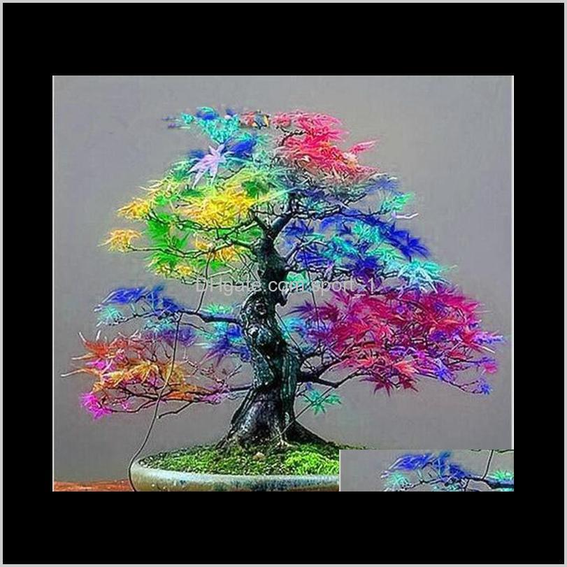Decorations Patio, Lawn & Drop Delivery 2021 100Percent Genuine 30 Pcs / Bag Seeds Multicolor Bonsai Plant Flower Japanese Mini Maple Tree Pl
Decorations Patio, Lawn & Drop Delivery 2021 100Percent Genuine 30 Pcs / Bag Seeds Multicolor Bonsai Plant Flower Japanese Mini Maple Tree Pl