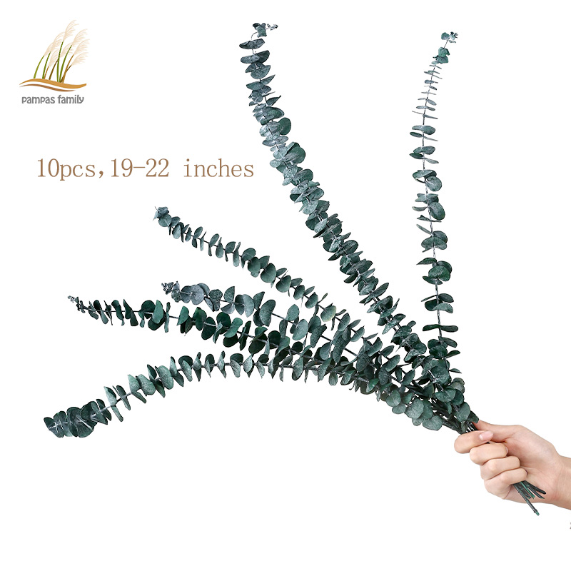 19-22/10PCS Rea Dried Eucayptus eaves Natura fresh forever preserved fowers BEST Dry eucayptus branches For home decor, 10 preserved flowers
19-22/10PCS Rea Dried Eucayptus eaves Natura fresh forever preserved fowers BEST Dry eucayptus branches For home decor, 10 preserved flowers