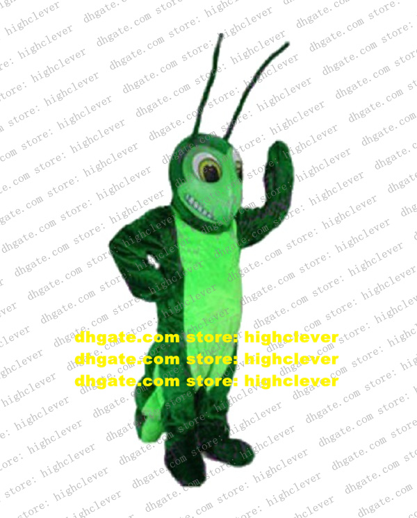 Smart Green Grasshopper Mascot Costume Mascotte Katydid Locust Cricket Acridid Adult With Two Long Tentacles No.2569 Free Ship, As in photos
Smart Green Grasshopper Mascot Costume Mascotte Katydid Locust Cricket Acridid Adult With Two Long Tentacles No.2569 Free Ship, As in photos