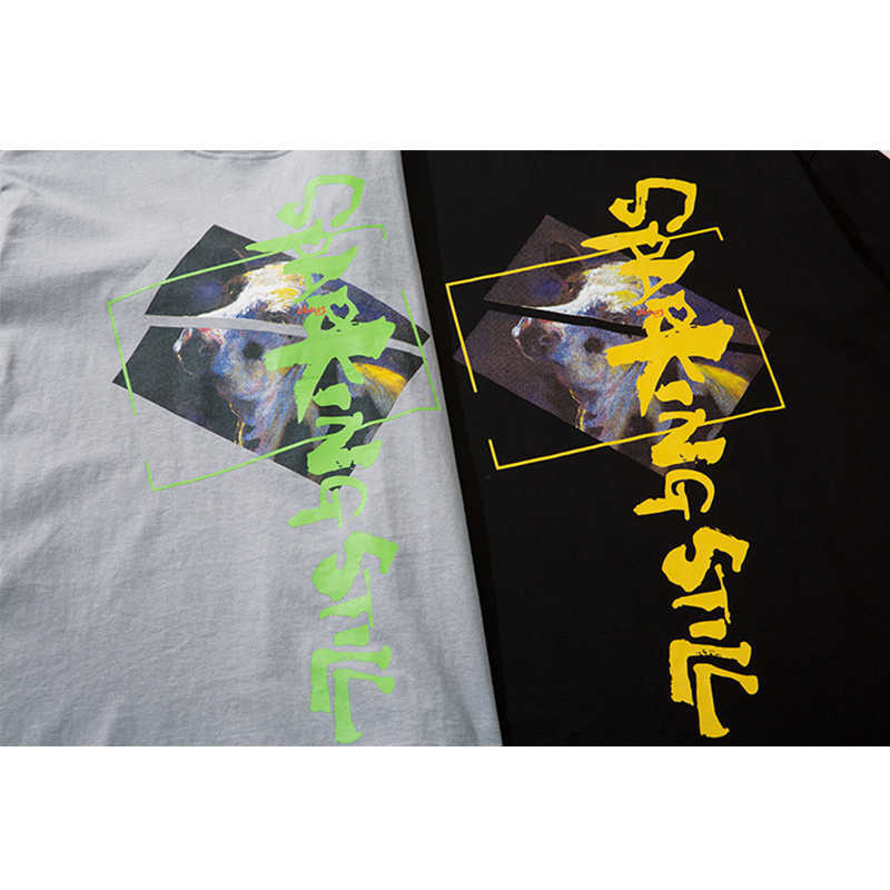Print Hip Hop Tee Shirts Summer Round Neck Hipster T-shirt Black Grey 2colors 210603