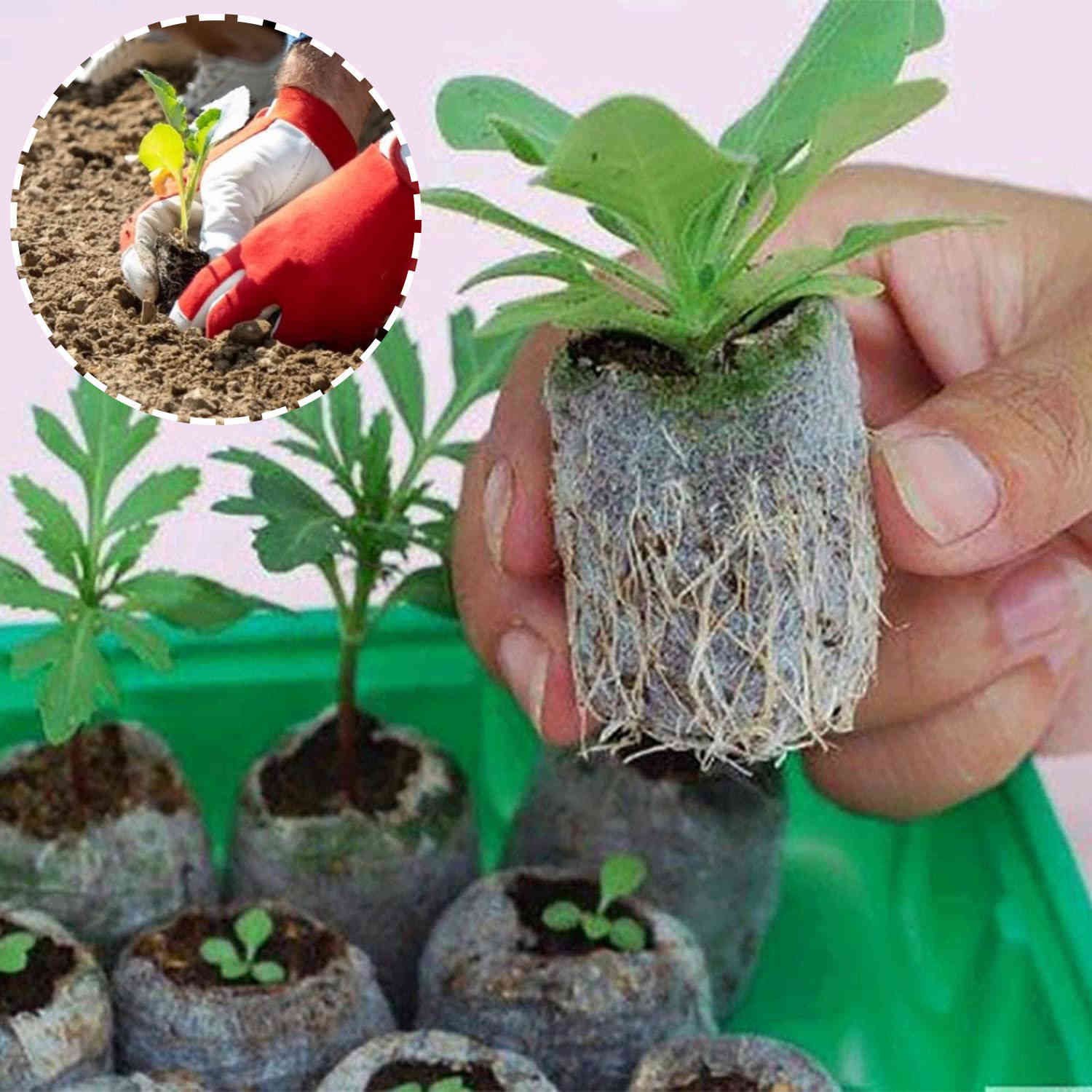 10 pces/soil block seedlings pellets seed pallet plugues block soil bloc easy to operate the nutritional garden of soil peat pellets