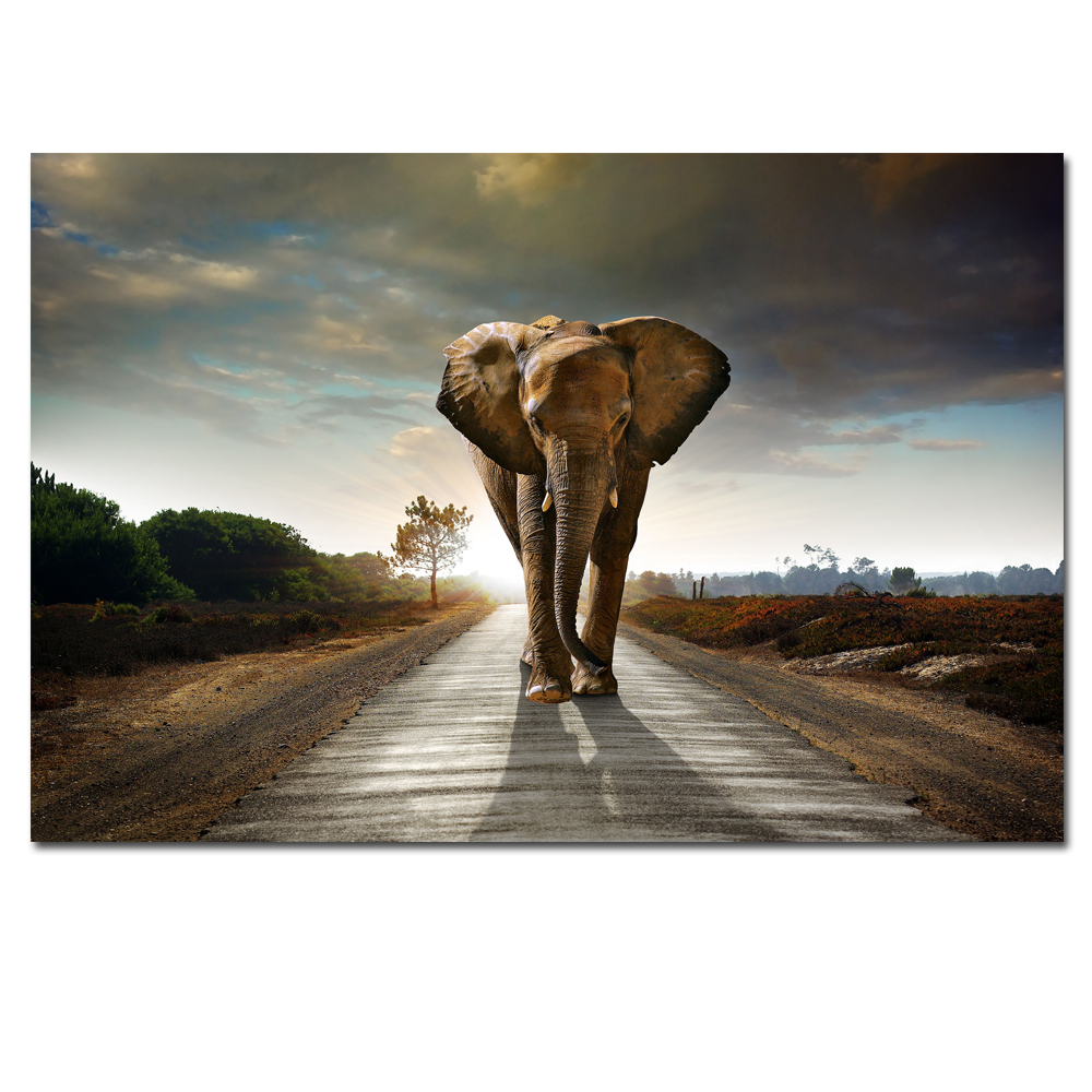 Modern Large Size Animal Poster Wall Art Canvas Painting Running Elephant Picture HD Print For Living Room Decoration