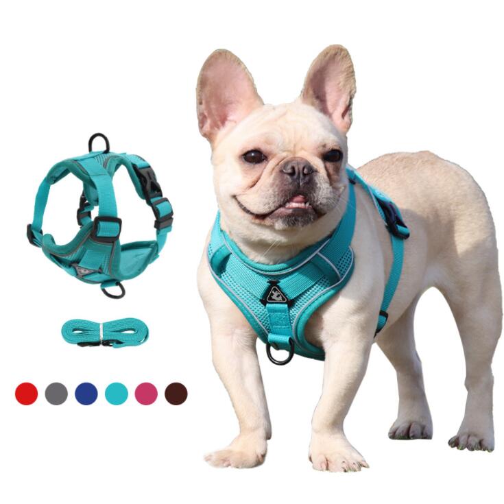 Dog Leashes traction ropes vestvstyle pet chest harness reflective breathable rope for walking cats and dogs
Dog Leashes traction ropes vestvstyle pet chest harness reflective breathable rope for walking cats and dogs