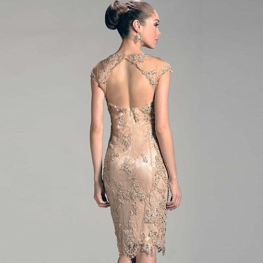 Short Mother of the bride Groom Dresses For Beach Wedding Evening Party Womens Sheer Neck Tulle Beaded Open Back Mother's Evening Dresses