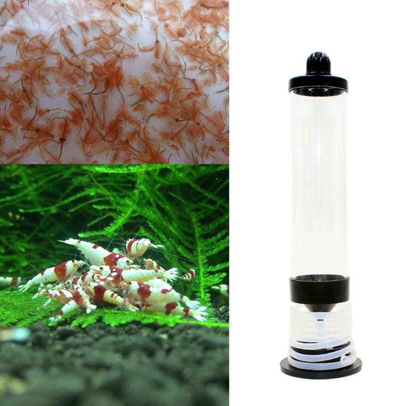 Aquarium Hell Shrimps Hatcher Tool Incubator Artemia Eggs Broderium Aquarium