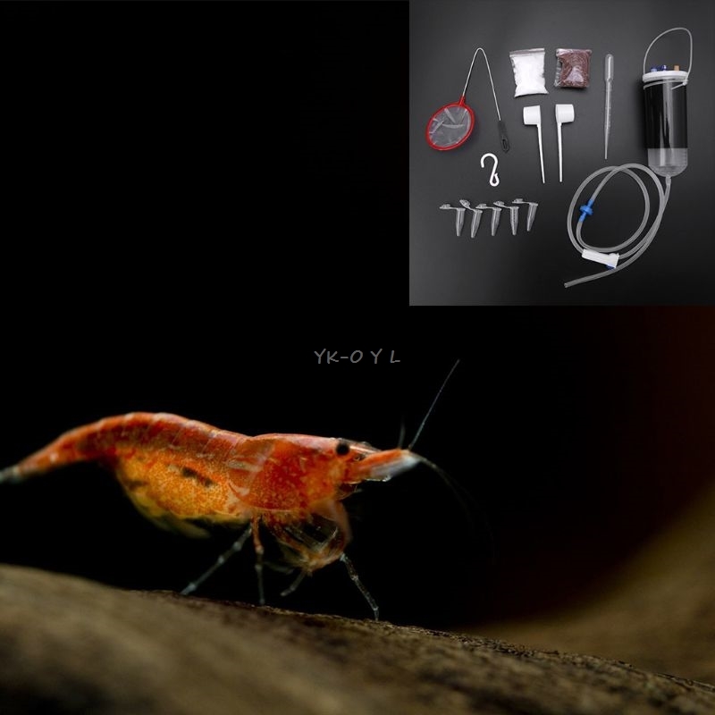 Aquarium Shrimps Incubator Fairy Shrimps Eggs Hatch Tool Kit Aquarium Equipment Newest L29k
