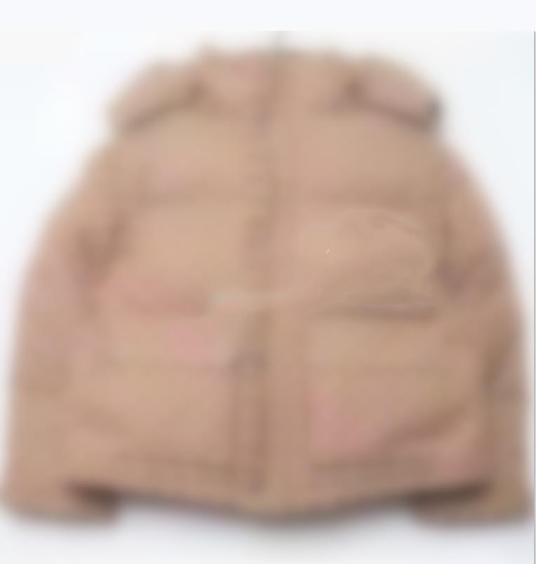 Men Brown Canvas Padded Down Jacket Designer Women Zipper Pocket Nylon Coat Hood Drawstring Winter Warm Outwear, Jacket dustbag
Men Brown Canvas Padded Down Jacket Designer Women Zipper Pocket Nylon Coat Hood Drawstring Winter Warm Outwear, Jacket dustbag