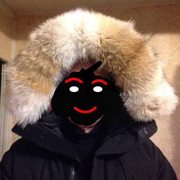 Custom 45-80cm genuine fur coyotes collar men Down coat thick fur trim hood hat collar women real fur collar ring scarf 201021
Custom 45-80cm genuine fur coyotes collar men Down coat thick fur trim hood hat collar women real fur collar ring scarf 201021