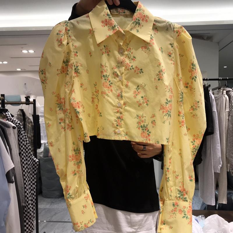 Women's Blouses & Shirts Vintage Print Women Short Korean Fashion Puff Long Sleeve Ladies Crop Tops 2021 Sweet Blusas Mujer, White
Women's Blouses & Shirts Vintage Print Women Short Korean Fashion Puff Long Sleeve Ladies Crop Tops 2021 Sweet Blusas Mujer, White