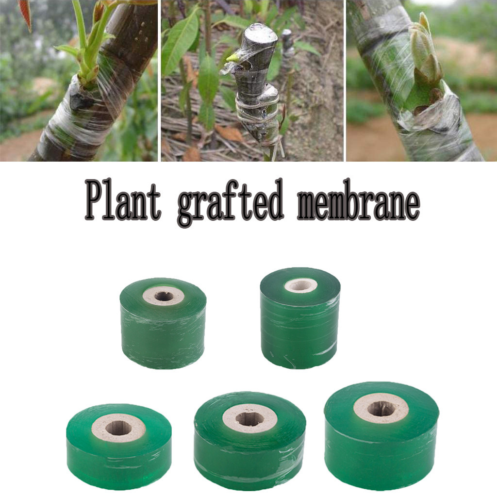 Plant Graft Protect… - image