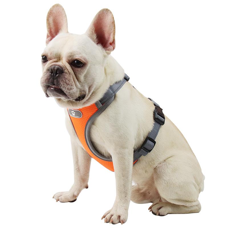Dog Collars & Leashes Pet Traction Vest Mesh Breathable Breast Strap Reflective Rope Durable And Comfortable MAZI888
Dog Collars & Leashes Pet Traction Vest Mesh Breathable Breast Strap Reflective Rope Durable And Comfortable MAZI888