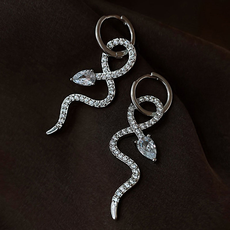 Korean version of personality net red temperament Hoop earrings 2021 new trendy snake jewelry female Women Earring