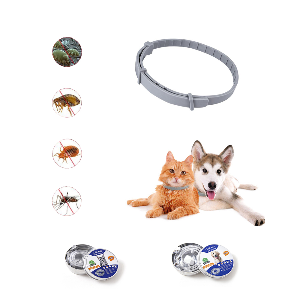 Pet Dog Cat Anti Flea Collar Dog Outdoor Adjustable Pet Collar cat Accessories 8 Months Drop Shipping