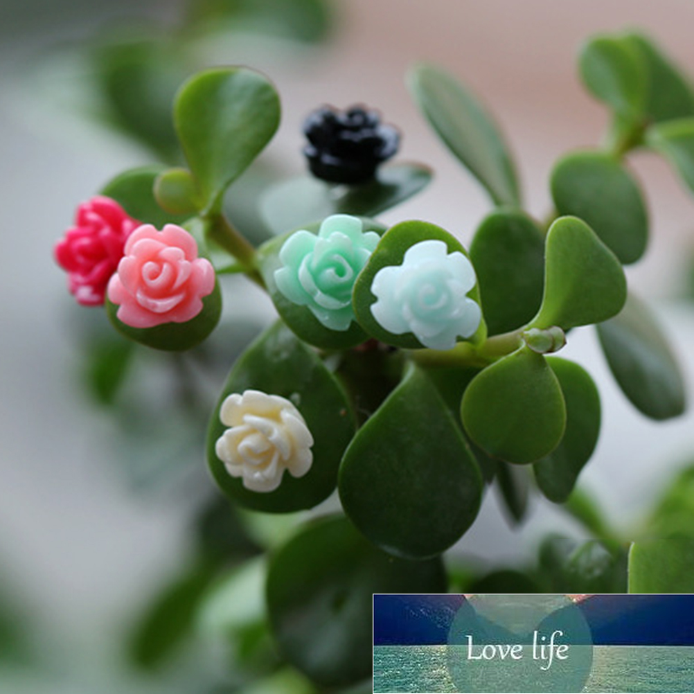 5Pcs/lot Colorful Mini Simulation flowers Fairy Garden Miniature Terrarium Accessories 2 Sizes Random Mini Garden Decoration
5Pcs/lot Colorful Mini Simulation flowers Fairy Garden Miniature Terrarium Accessories 2 Sizes Random Mini Garden Decoration