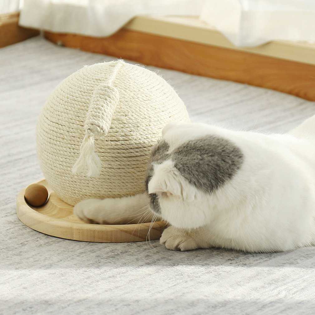 !Cactus Shape Cat Scratcher Circle Track With Moving Balls Cats Interactive Toys Funny Ball Funny Pet Toy Pet Scratch 210929