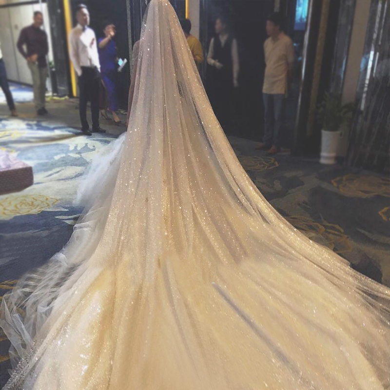 2021 Bright Flashing Wedding Veil Super Long Cathedral Length Tail Bridal Veils Luxury Headdress Custom Made, White
2021 Bright Flashing Wedding Veil Super Long Cathedral Length Tail Bridal Veils Luxury Headdress Custom Made, White
