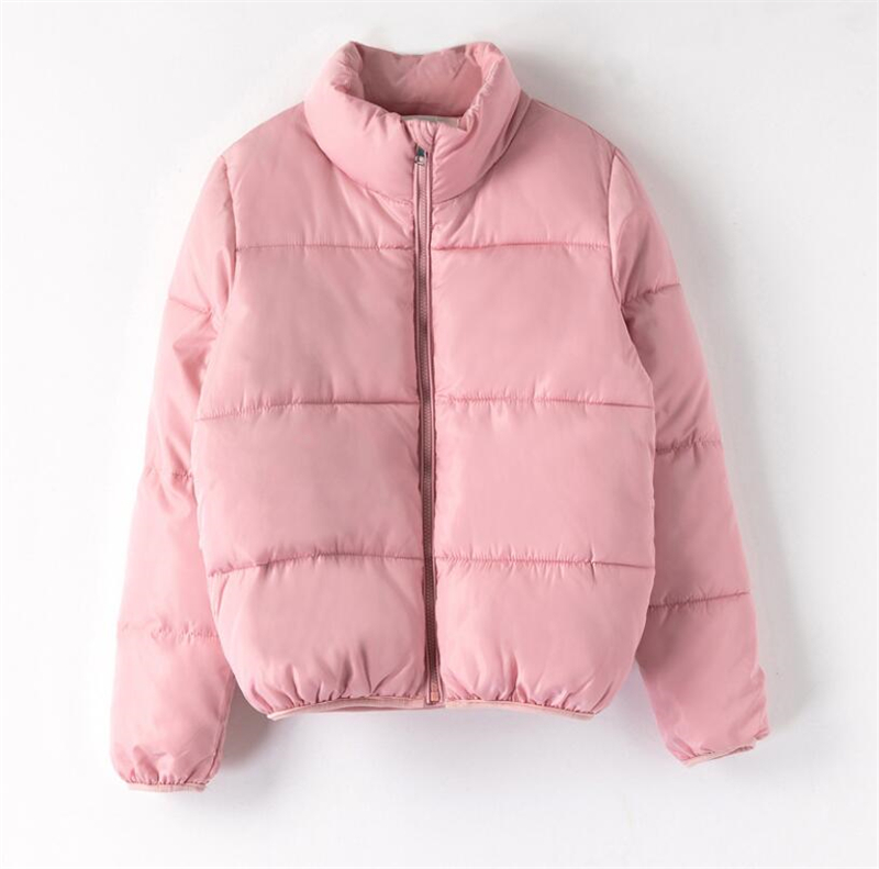 Fashion Women Bubble Coats Down Parka Puffer Cropped Jackets Coat Warm Outcoat Zipper Stand Collar Oversized Jacket Parkas Mujer, Pink
Fashion Women Bubble Coats Down Parka Puffer Cropped Jackets Coat Warm Outcoat Zipper Stand Collar Oversized Jacket Parkas Mujer, Pink