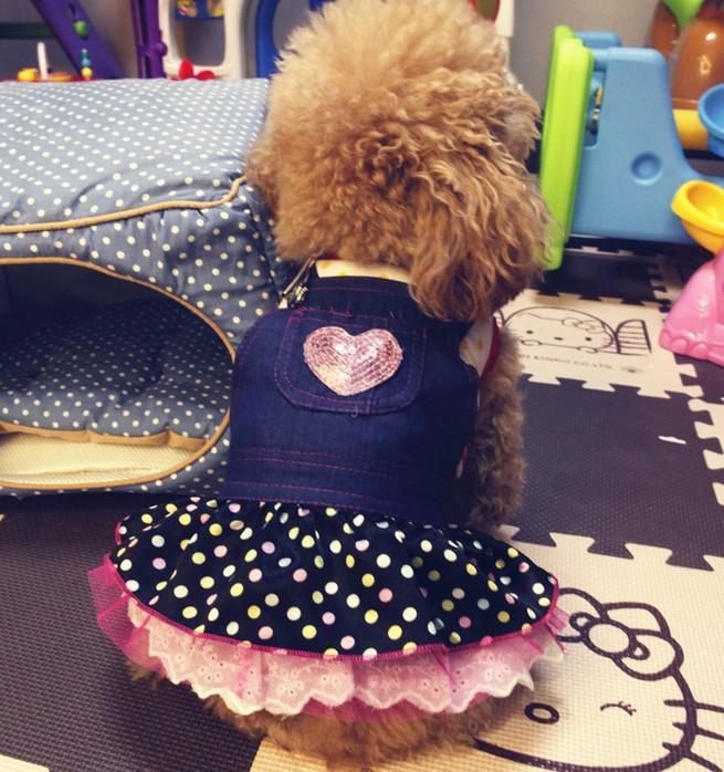 Dog Apparel Denim Dress Jeans Skirt Summer Small Puppy Clothes Chihuahua Yorkies Poodle Pet Clothing