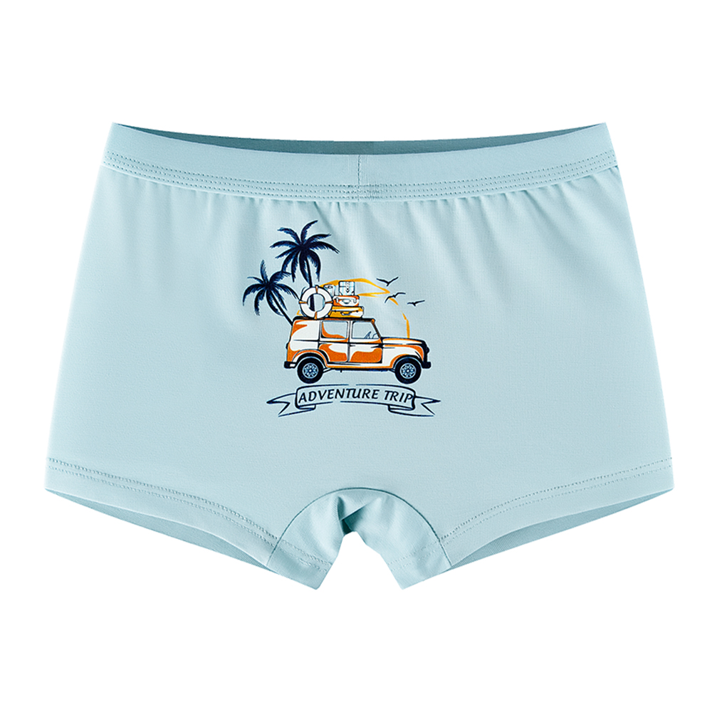 3 Pcs/lo Kids Boxer Briefs Soft Teenager Shortst Boys Underwear Clothes Panties Shorts Cartoon Pattern For 2-10Years OldScouts
3 Pcs/lo Kids Boxer Briefs Soft Teenager Shortst Boys Underwear Clothes Panties Shorts Cartoon Pattern For 2-10Years OldScouts