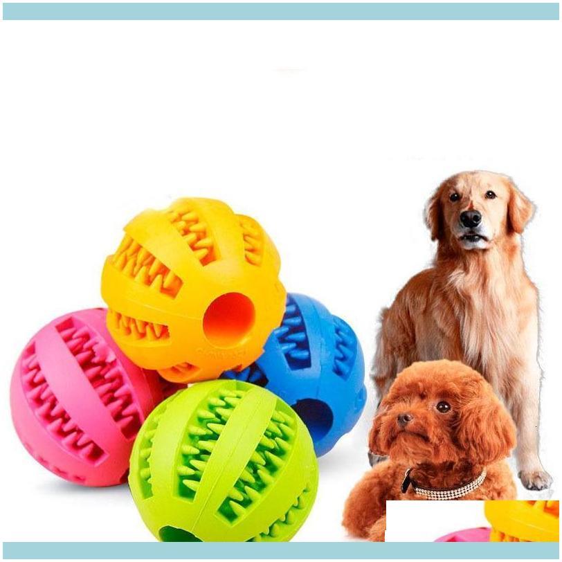 Supplies Home & Gardenrubber Chew Ball Dog Training Toys Toothbrush Chews Toy Food Balls Pet Product Ship 360061 Vf9Yh Drop Delivery 2021 Ji
Supplies Home & Gardenrubber Chew Ball Dog Training Toys Toothbrush Chews Toy Food Balls Pet Product Ship 360061 Vf9Yh Drop Delivery 2021 Ji