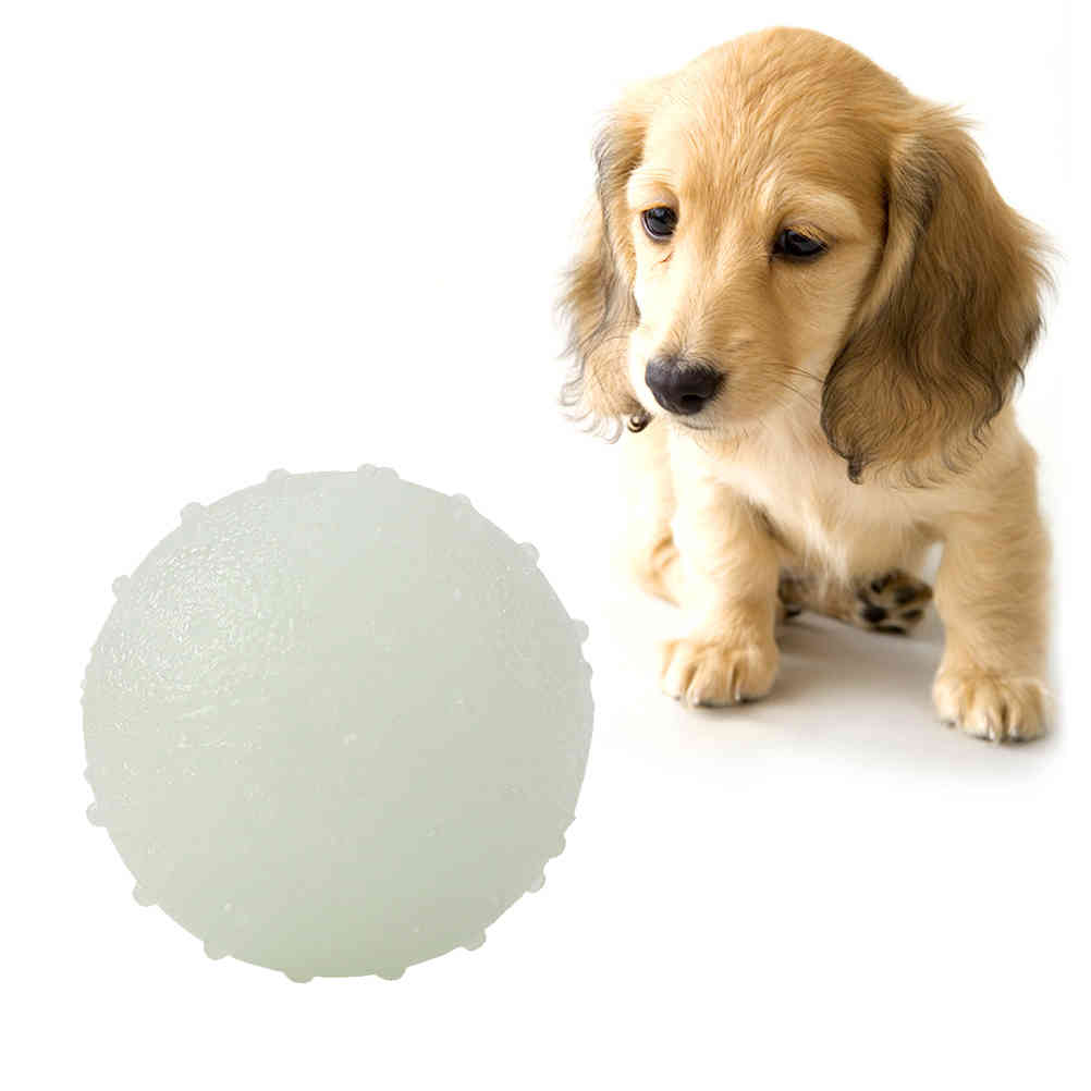 Pet Dog Luminous Ball Rubber Bite Resistant Squeeze Toys Seal Anti-stress Fluorescence Puppy Interactive Supplies chew toys
