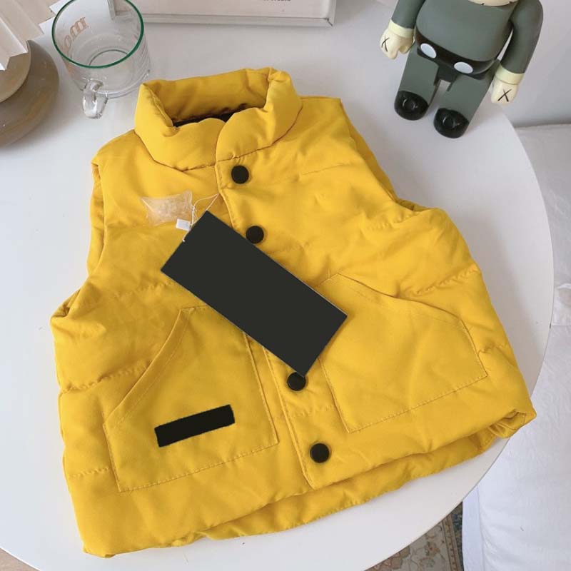 Kids Waistcoat Jackets Vests Girl Boys Coats Classic Letter Vest Down Jacket Baby Teen Clothes Outerwear Child Coat Top 5 Color wholesale