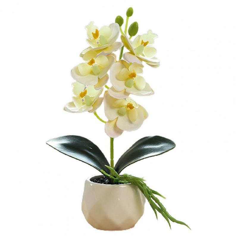Decorative Flowers & Wreaths Fake Flower Plant Delicate 5 Colors Eco-friendly Desktop Succulent Potted For Office
Decorative Flowers & Wreaths Fake Flower Plant Delicate 5 Colors Eco-friendly Desktop Succulent Potted For Office