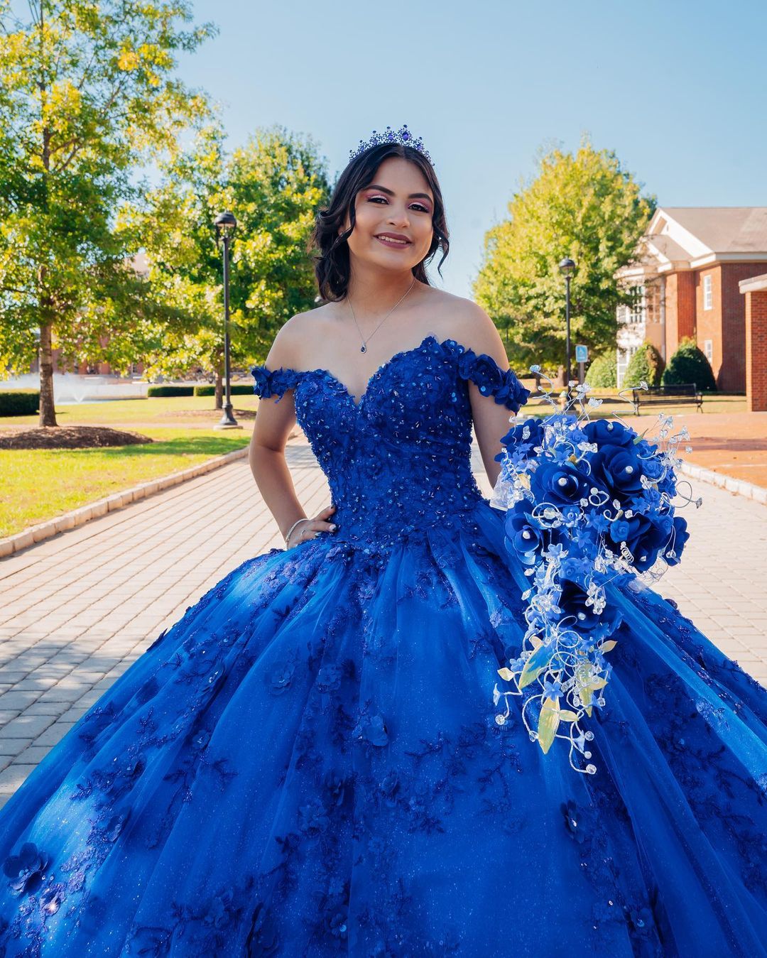 Blue A-Line Wedding Dress With Sleeveless Backless Organza Applique Sequins Princess Formal Occasion Custom Made Tulle Floor-length De Mariée