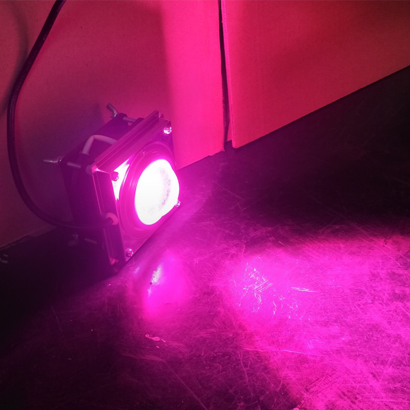cob lead grow lights control full spectrum led 60W plant growth lamp indoor vegetable fleshy flower hydroponic cultivation supplyment outdoo
cob lead grow lights control full spectrum led 60W plant growth lamp indoor vegetable fleshy flower hydroponic cultivation supplyment outdoo