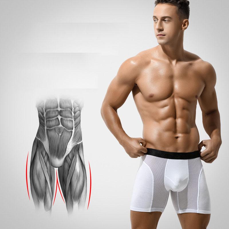 Underpants 2021 The Lot Male Cock Underwear Long Leg Big Size 6XL Easy Wear Men's Boxer's Solid Boxershorts Family Calecon 256km White, Black
Underpants 2021 The Lot Male Cock Underwear Long Leg Big Size 6XL Easy Wear Men's Boxer's Solid Boxershorts Family Calecon 256km White, Black