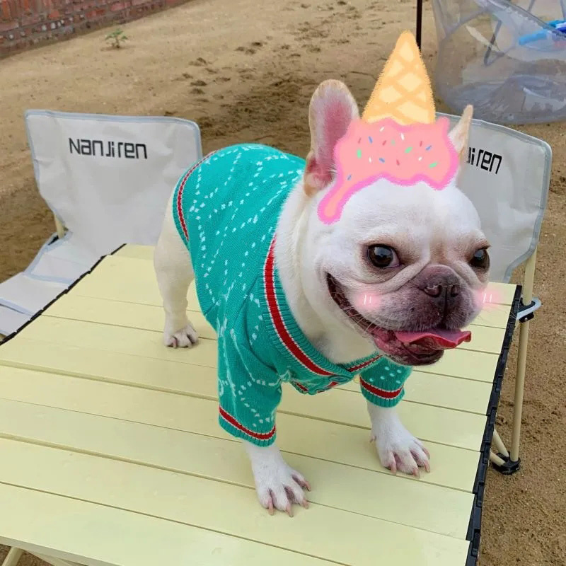 Luxury Brand Designer Letters Dog Apparel Fashion Winter Warm Hoodies Cats Dogs Classic Animals Sweater Casual Sports Pets Coats Clothes, Green
Luxury Brand Designer Letters Dog Apparel Fashion Winter Warm Hoodies Cats Dogs Classic Animals Sweater Casual Sports Pets Coats Clothes, Green
