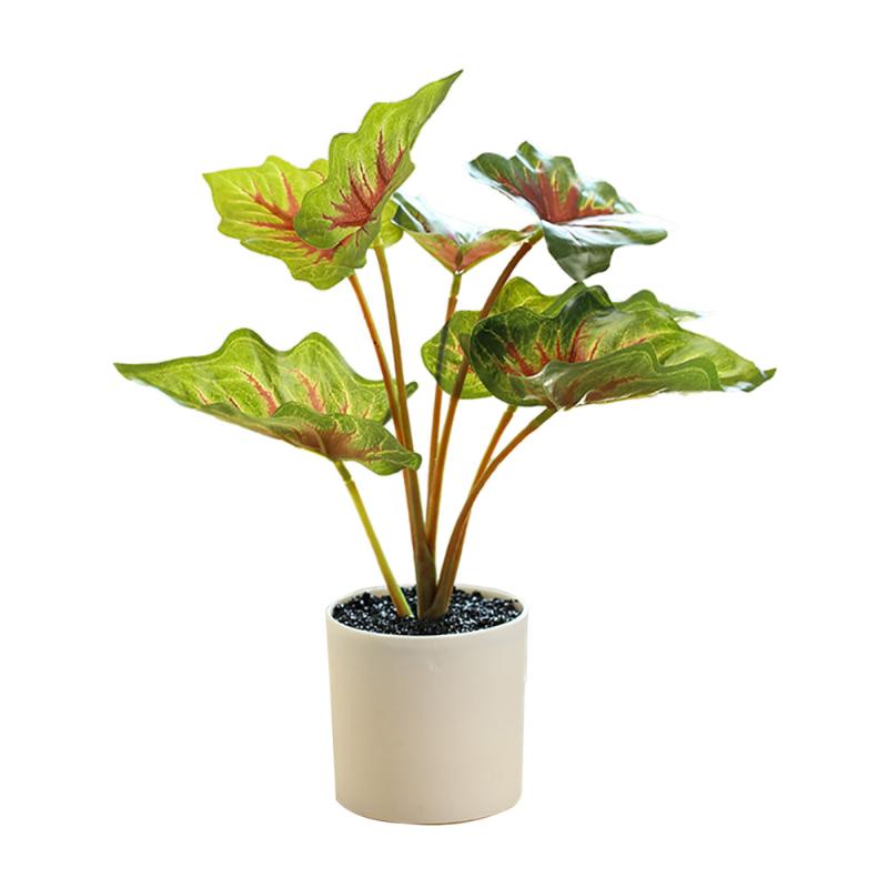 Decorative Flowers & Wreaths Fake Potted Leaf Green Plants Ornaments Fig Tree Realistic Home Decoration Artificial Creative Simulation Leave, Army green
Decorative Flowers & Wreaths Fake Potted Leaf Green Plants Ornaments Fig Tree Realistic Home Decoration Artificial Creative Simulation Leave, Army green